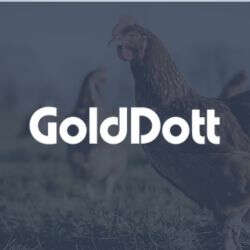 eq Unsere Marken Bubblenavi Golddot